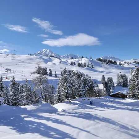 Divisible Accès Direct Aux Pistes, Animaux Admis, Wifi - Fr-1-181-2249 Appartement La Plagne-Tarentaise